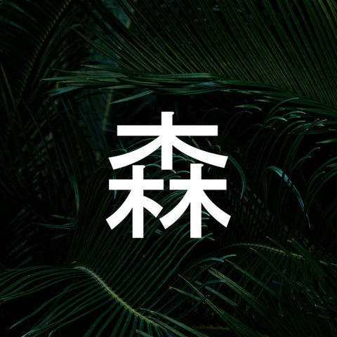 AOKIGAHARA ONLINE : MORI [Los Angles]