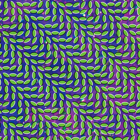 ANIMAL COLLECTIVE : MERRIWHEATHER POST PAVILION [Domino]