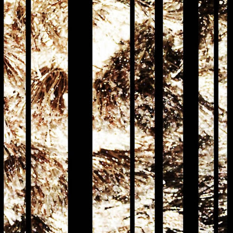 BORDER MENACE : BORDER MENACE EP [Not On Label]