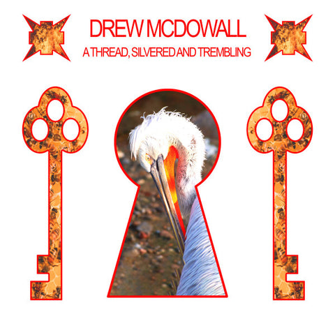DREW McDOWALL : A THREAD, SILVERED TREMBLING [Dais]