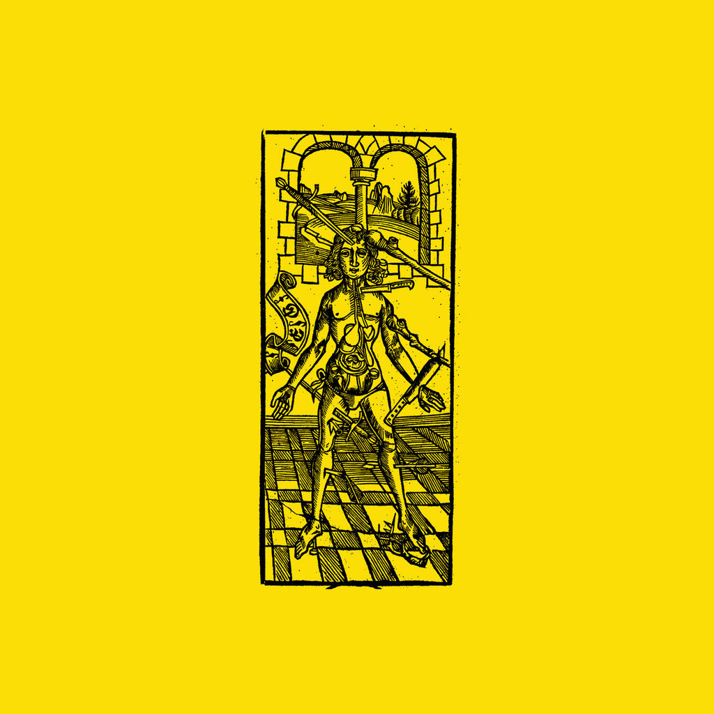 ELEMENTS OF JOY : PI08 [Pi Electronics]