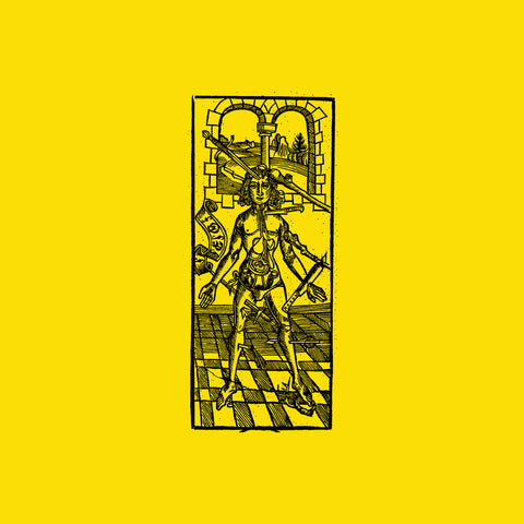 ELEMENTS OF JOY : PI08 [Pi Electronics]