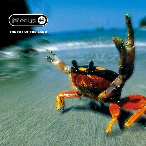 The Prodigy Fat Of The Land