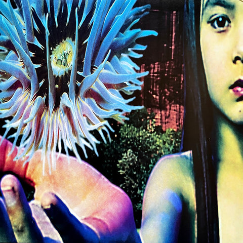 THE FUTURE SOUND OF LONDON : LIFEFORMS [Virgin, EBV]