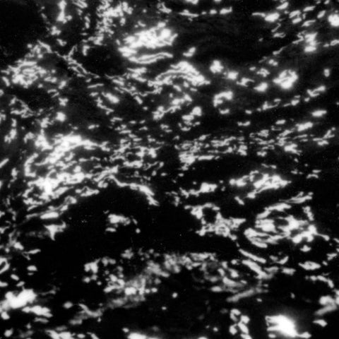 GROUPER A|A : DREAM LOSS [Kranky]