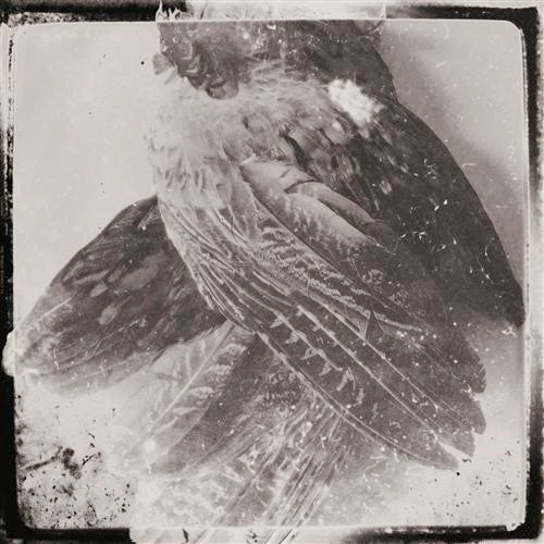 GLISSANDO : THE WORLD WITHOUT US  [Gizeh]