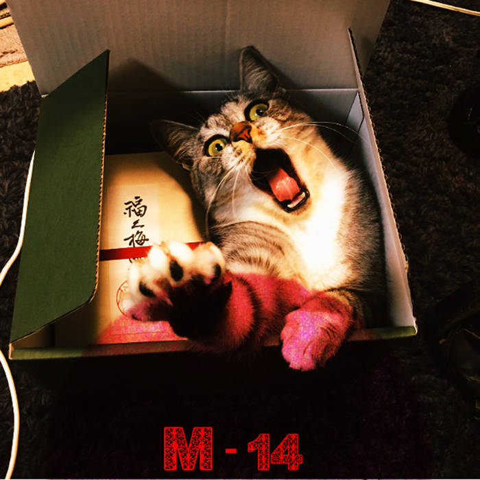 M 14 Ja Boi Dreamshore