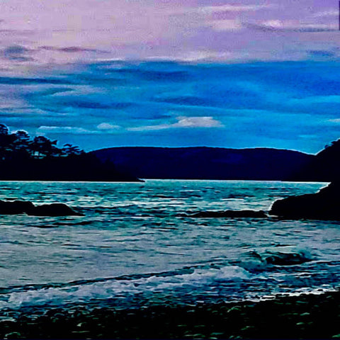 NIGHT BEACH MP3 : VARIOUS ARTISTS [Retrac]