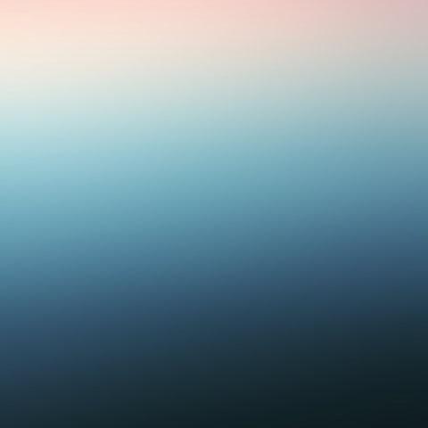 NIGHT SEA : STILL [Silent Season]