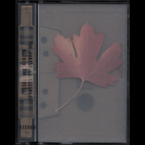 ØJERUM : THE FOREST IS SLEEPING WITHIN THE TREES [Not On Label]