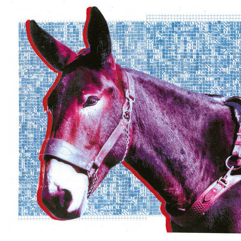 PROTOMARTYR : ULTIMATE SUCCESS TODAY [Domino]
