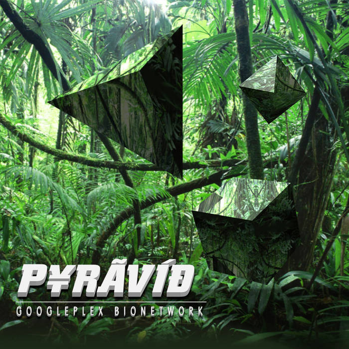 Pyravid GoogleplexBionetwork DreamCatalogue