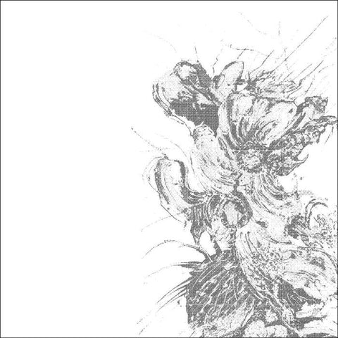 VLADISLAV DELAY :  RECOVERY IDEA I [Semantica]