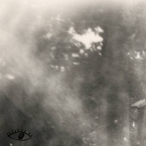 SORROW FLOATS : LIVING THROUGH FILTERS [Purlieu]