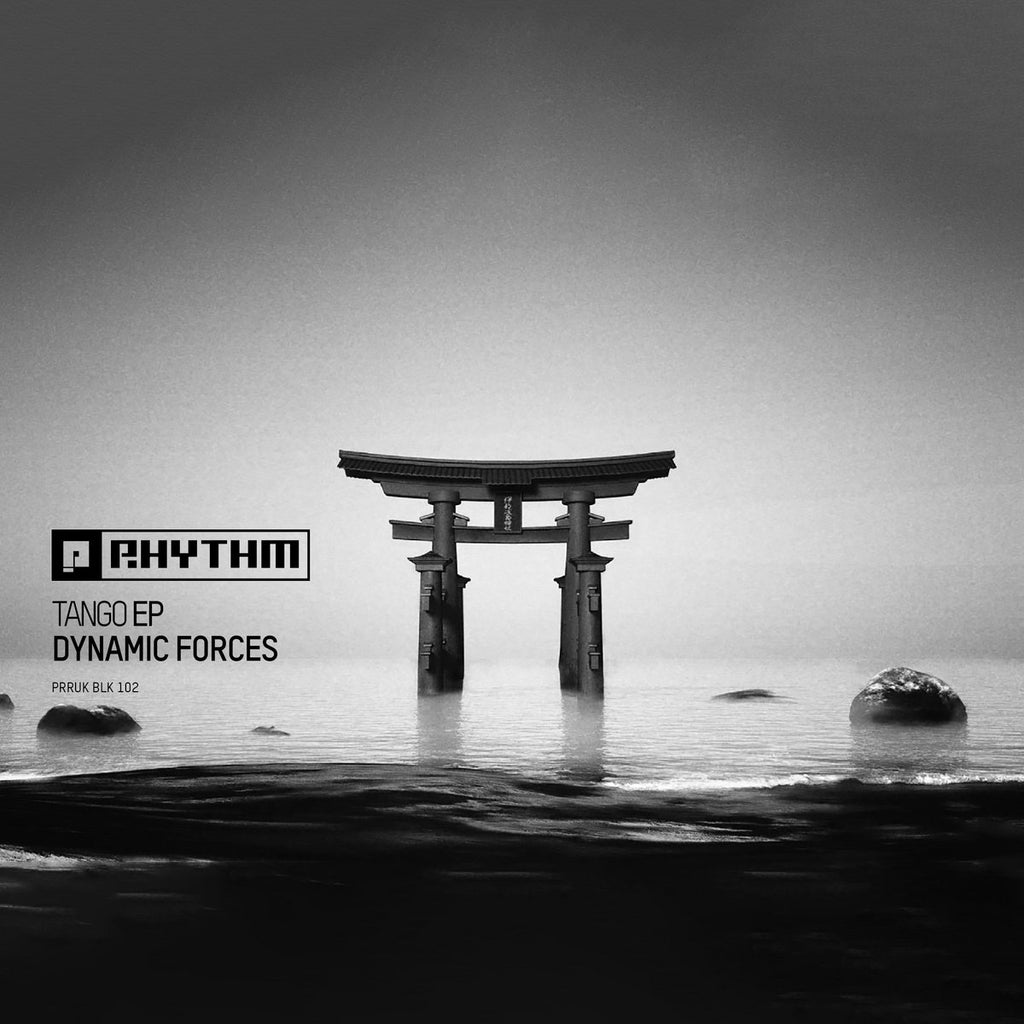 DYNAMIC FORCES : TANGO E.P [Planet Rhythm]