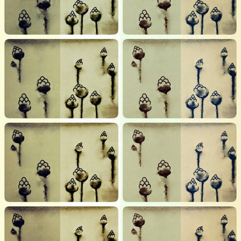 THE EARS ON THE TREES : NEW BEGINNINGS [Constellation Tatsu]
