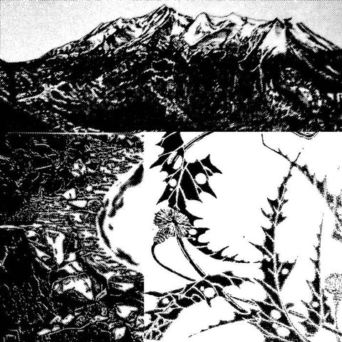 UVB76 : IWA GAADEN [Random Numbers]