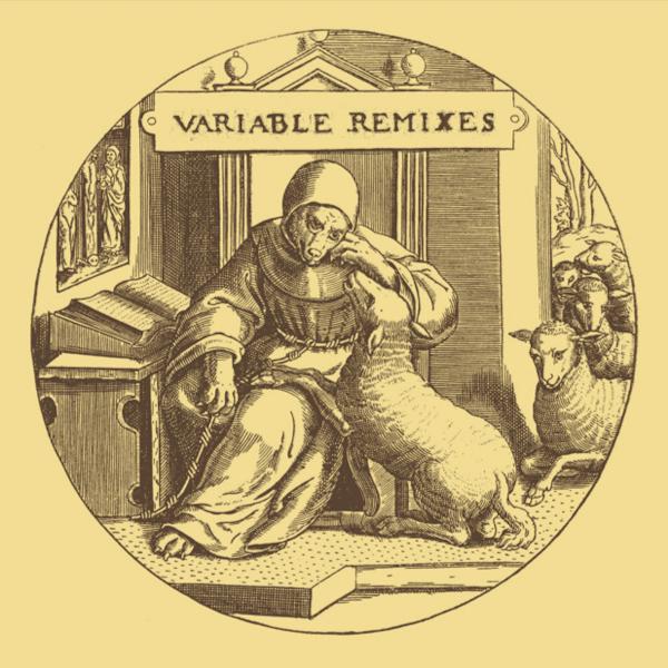 Variable Remixes Pi Electronics