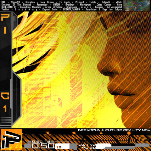 DREAMPUNK - FUTURE REALITY NOW : VARIOUS ARTISTS [Providence Instinct]