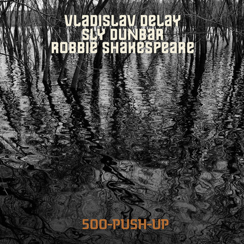 VLADISLAV DELAY - SLY DUNBAR - ROBBIE SHAKESPEARE : 500-PUSH-UP [Sub Rosa]