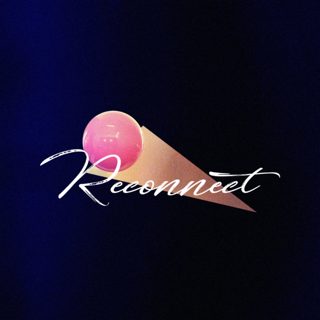 barb walters reconnect my pet flamingo