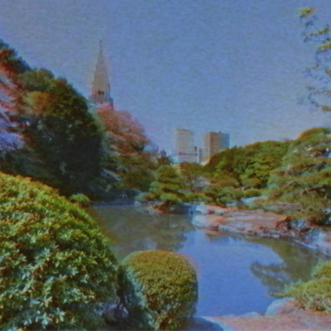 猫 シ CORP. : LOFI [Tiger Blood Tapes]
