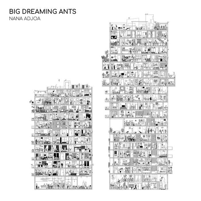 NanaAdjoa BigDreamingAnts Bloomer