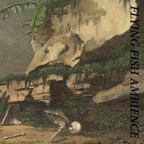 RAINFOREST SPIRITUAL ENSLAVEMENT : FLYING FISH AMBIENCE [	Hospital Productions]