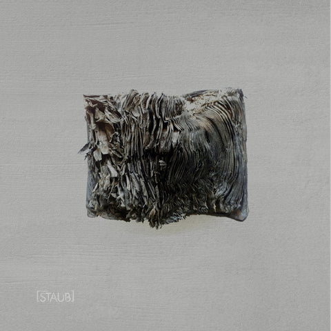STAUB 005 : VARIOUS ARTISTS [Intergalactic Research Institute For Sound]