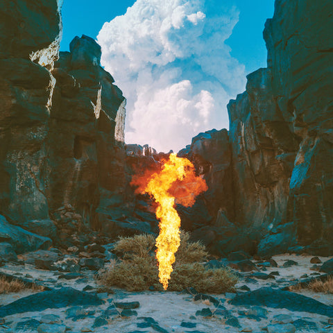 BONOBO : MIGRATION [ Ninja Tune ]