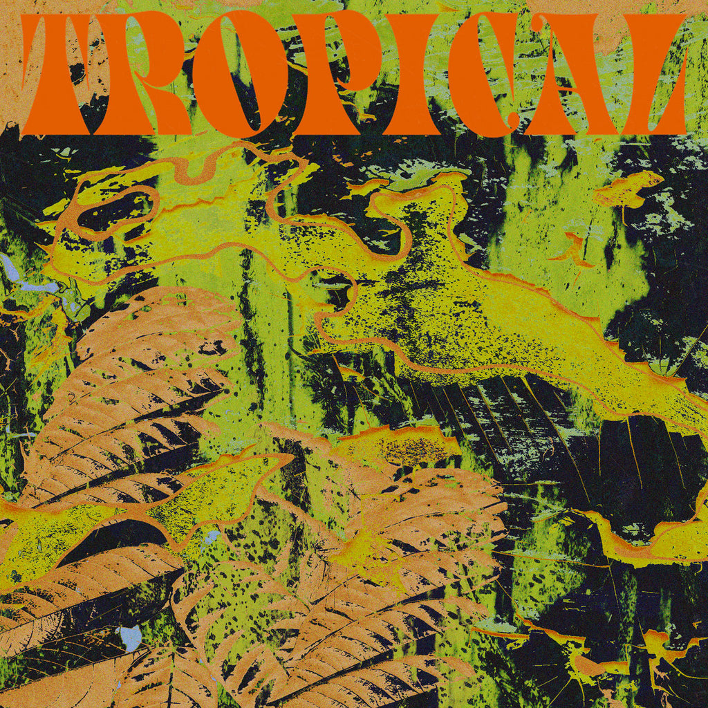  CV Vision Tropical South of North