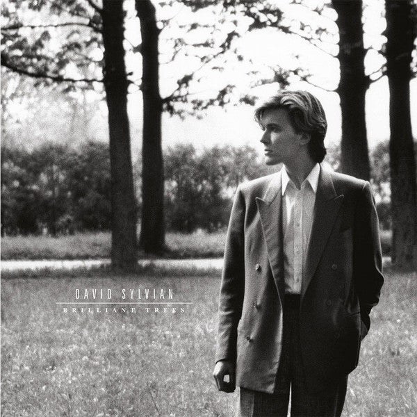 David Sylvian Silent Trees