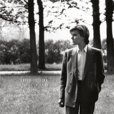 DAVID SYLVIAN  :  BRILLIANT  TREES [Virgin]