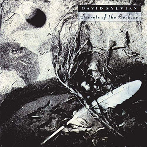 DAVID SYLVIAN  : SECRETS OF THE BEEHIVE [ Virgin Usa ]