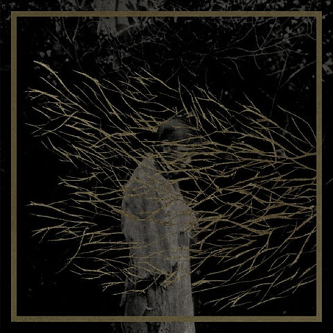 FOREST SWORDS  : ENGRAVING  [Triangle]