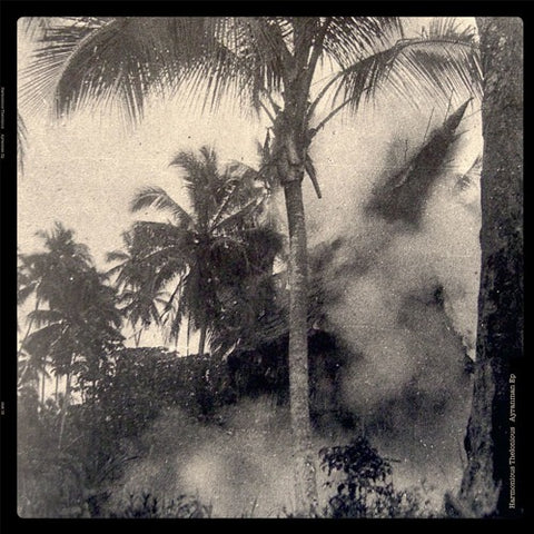 HARMONIOUS THELONIOUS : AYRANMAN [ Disk ]