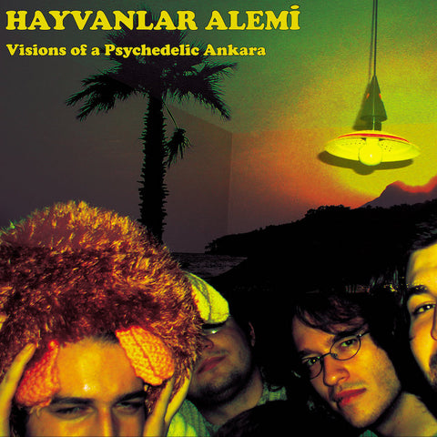 HAYVANLAR ALEMI : VISIONS OF A PSYCHEDELIC ANKARA [Glitterbeat]