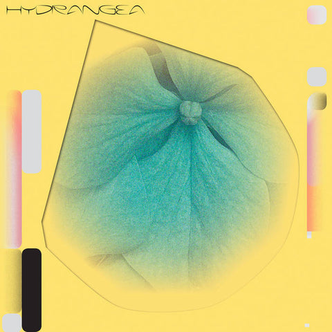 HYDRANGEA : HOLLY CHILDS & GEDINIMAS ZYGUS [Subtext]
