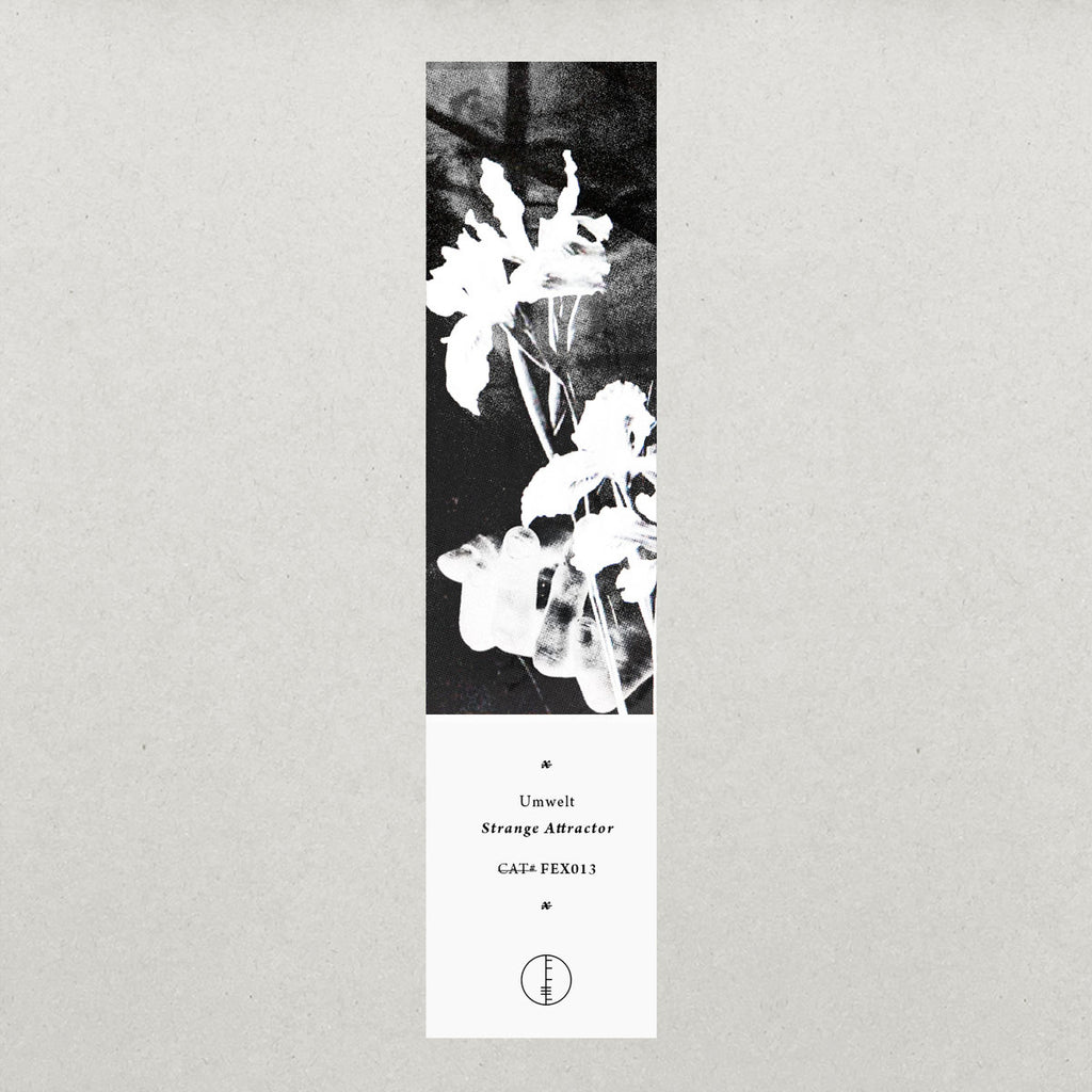 UMWELT ‎: STRANGE ATTRACTOR [ Falling Ethics ]