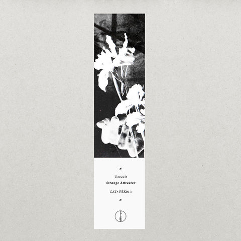 UMWELT ‎: STRANGE ATTRACTOR [ Falling Ethics ]