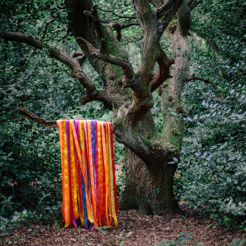 JAMES HOLDEN & THE ANIMAL SPIRITS : THE ANIMAL SPIRITS [ Border Community ]