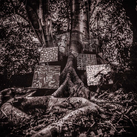 KAMASI WASHINGTON : HARMONY OF DIFFERENCE [ Young Turks ]