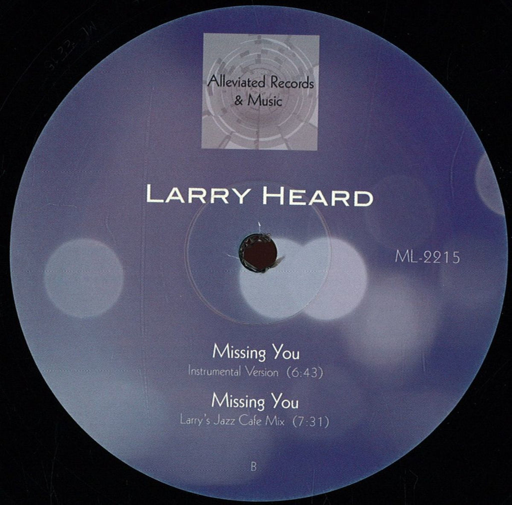 Larry Heard Missing You