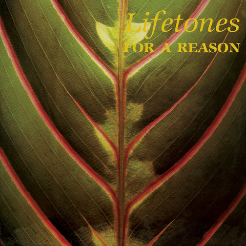 LIFETONES : FOR A REASON [ Light In The Attic ]