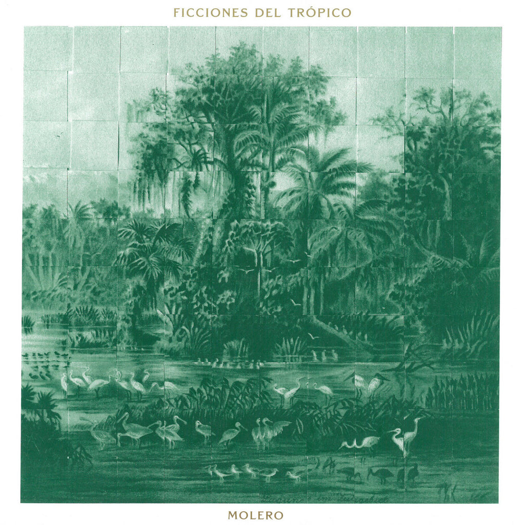 Molero Ficciones Del Trópico Holuzam