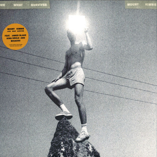 Mount Kimbie _ Love What Survives Warp
