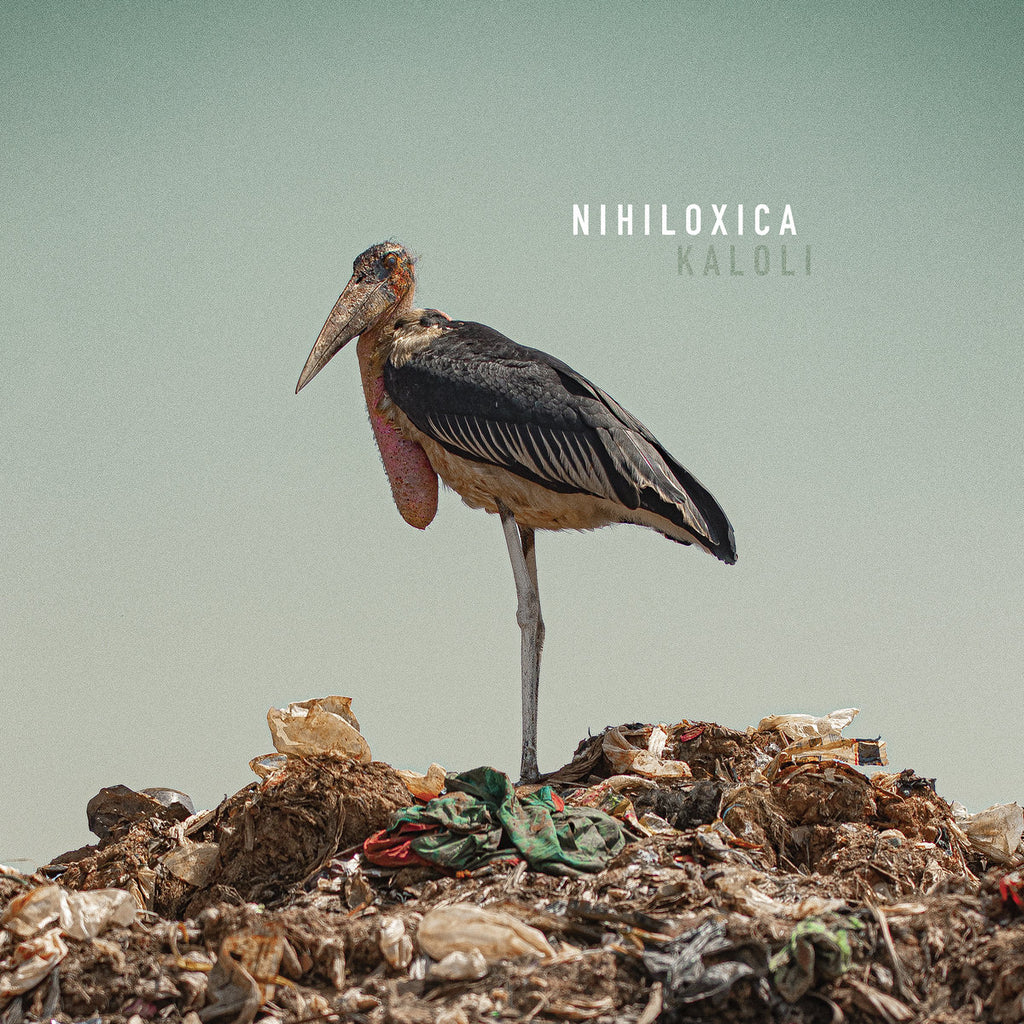 NIHILOXICA : KALOLI [ Crammed Discs ]