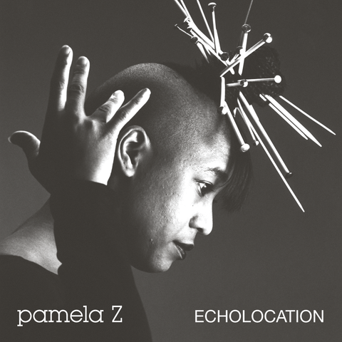 PAMELA Z : ECHOLOCATION [Rvng Intl]