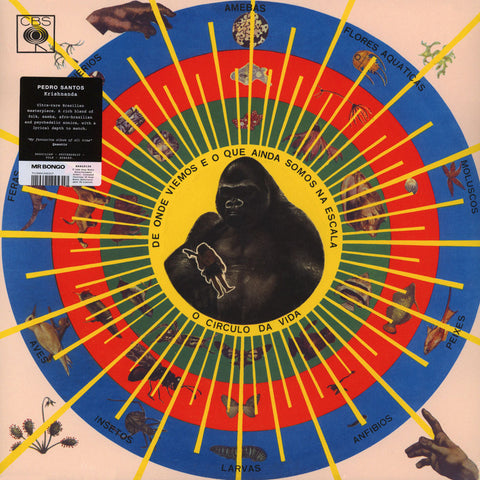 PEDRO SANTOS : KRISHNANDA [Mr. Bongo]