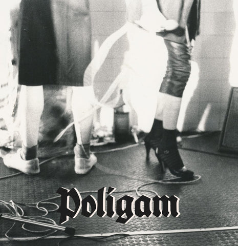 POLIGAM : POLIGAM [ Wiener Brut ]